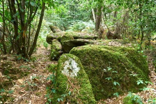 Allée couverte de Lobo Haut-Pinel Caro Redon Morbihan Bretaña