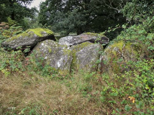 Allée couverte de Roherman  Redon Morbihan Bretaña