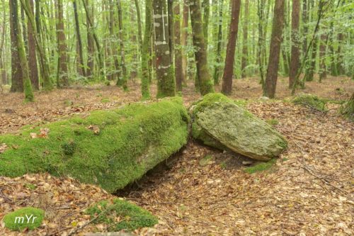 Allée-couverte-de-l'Etoile-Pontivy--Morbihan Bretaña