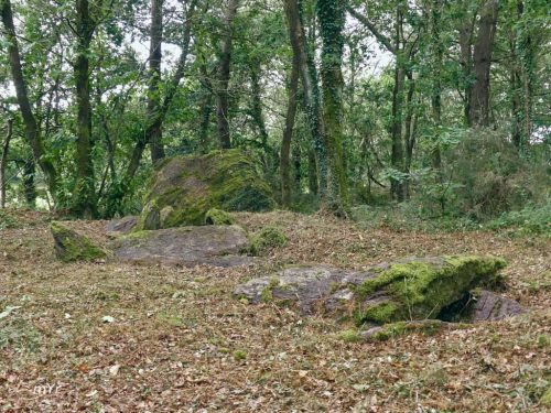 Allée couverte de la Coudraie F1 Augan Morbihan Bretaña