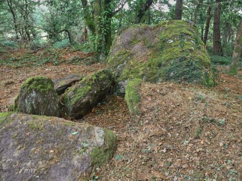 Allée couverte de la Coudraie F2 Augan Morbihan Bretaña