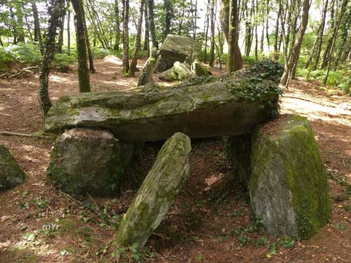 Allée couverte la Maison du Diable Chapelle-Caro  Redon Morbihan Bretaña