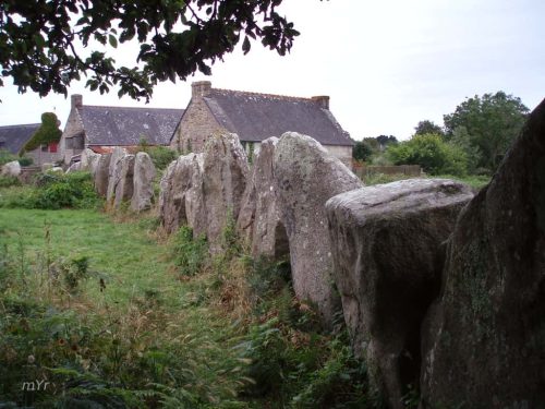 Alineamiento de Ménec  F2 Carnac Vannes Morbhian Bretaña