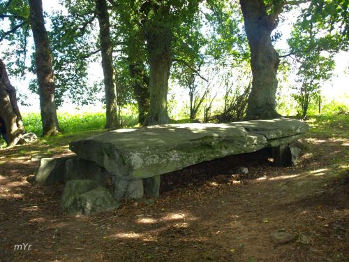 Dolmen  Maison-Trouvée Redon Morbihan Bretaña