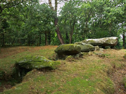 Dolmen de Cleher F1 Locoal Mendon Lorient  Morbihan Bretaña