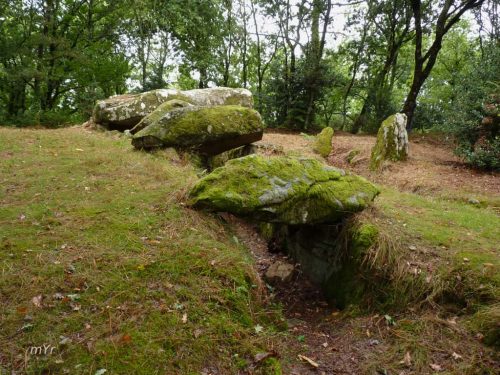 Dolmen de Cleher F2 Locoal Mendon Lorient  Morbihan Bretaña