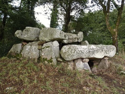 Dolmen de Er-Roc h-Feutet Carnac Vannes Morbihan Bretaña