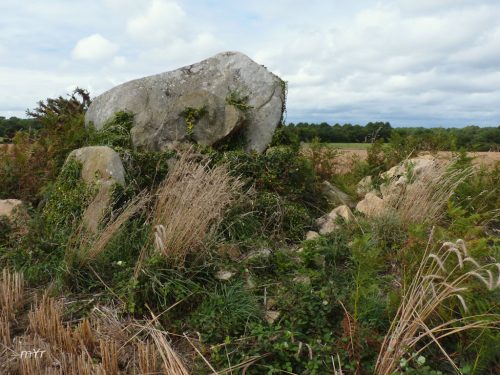 Dolmen de Er Rün-Keredo Plouharnel Lorient Morbihan  Bretaña