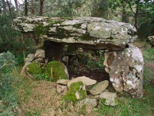 Dolmen de Kerdaniel 1  Locmariaquer Vannes Morbihan Bretaña
