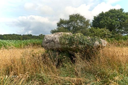 Dolmen de Kermabon Bieuzy  Pontivy Morbihan Bretaña