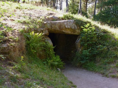 Dolmen de Kernourz F1 Bono Valvulas Morbihan Bretaña
