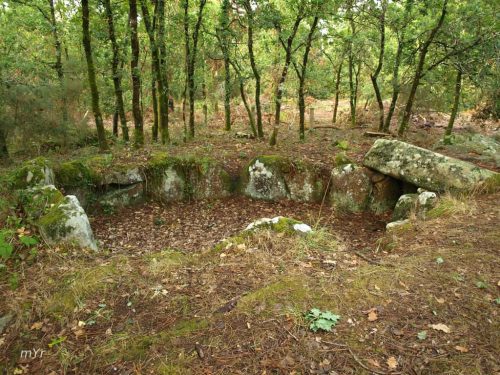 Dolmen de Mané-Brisil F1 Carnac Vannes Morbihan  Bretaña