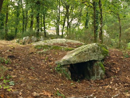 Dolmen de Mané-Brisil F2 Carnac Vannes Morbihan  Bretaña
