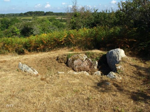 Dolmen de Mane Rumor F1 Plouharnel Lorient Morbihan Bretaña