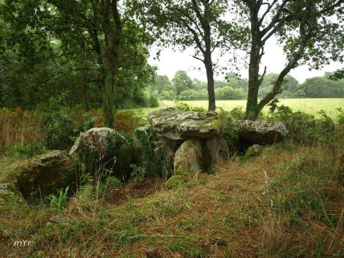Dolmen de Nauterio Carnac Vannes Morbihan Bretaña