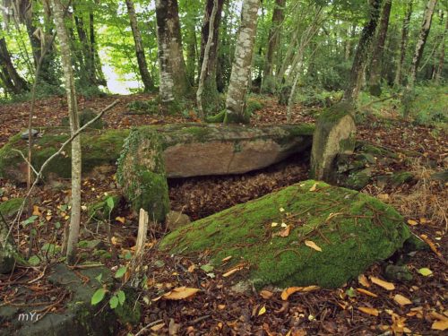 Dolmen de Trébrun Pluherlin Redon Morbihan Bretaña