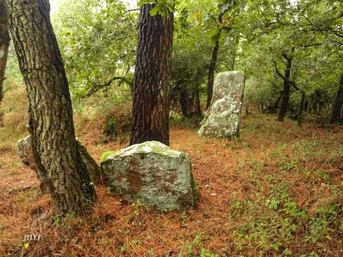 Dolmen du Clos Pernel Carnac Vannes Morbhian Bretaña