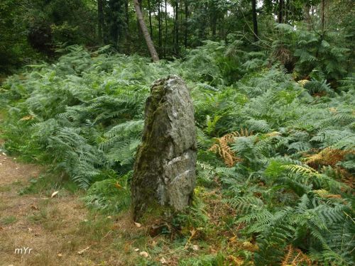 MenHir de Beaumont St laurent Sud Oust Redon Morbihan Bretaña