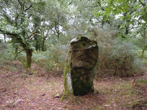 Menhir Er roc h C Carnac Vannes Morbhian Bretaña