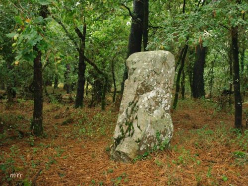 Menhir Er roc'h B Carnac Vannes Morbhian Bretaña