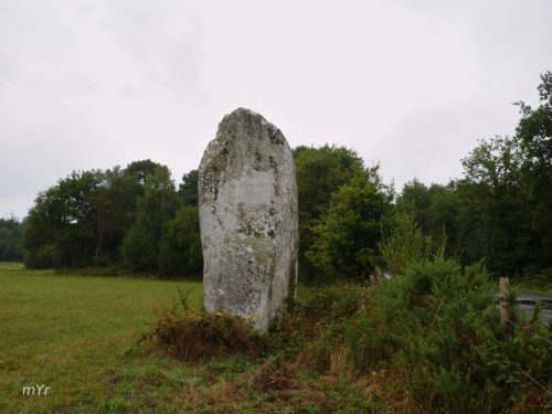 Menhir La Pierre Longue Pluherlin Redon Morbihan Bretaña