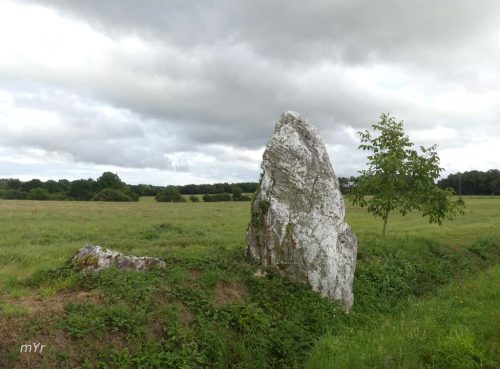Menhir Maison-Neuve Monterrein Redon Morbihan Bretaña