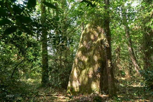 Menhir de Bégueu Saint-Congard Redon Morbihan Bretaña