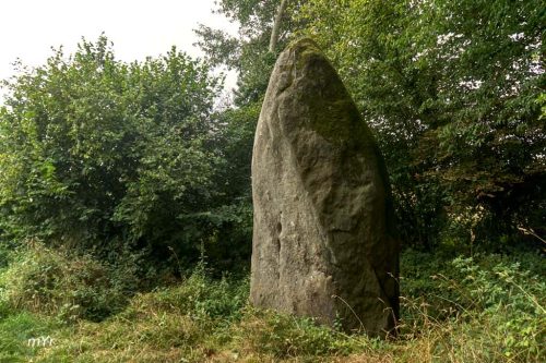 Menhir de Bellouan Ménéac Pontivy Morbihan Bretaña