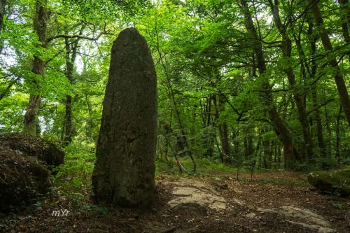 Menhir de Bos Calers Ménéac Pontivy Morbihan Bretaña