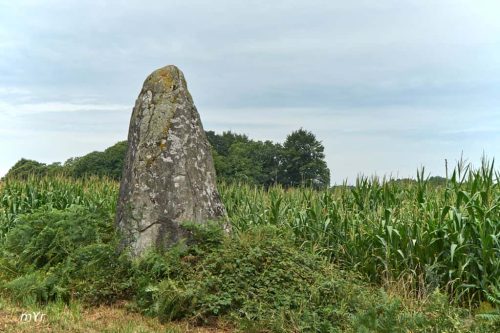 Menhir de Camblot Ménéac Pontivy Morbihan Breataña