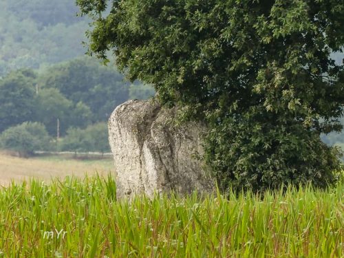 Menhir de Digoit Ruffiac Redon Morbihan Bretaña