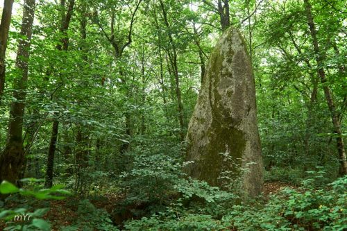 Menhir de Pellionnaie Gomené Ménéac Pontivy Morbihan Bretaña