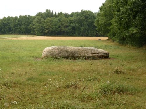 Menhir  de Talvé Pluherlin Redon Morbihan Bretaña