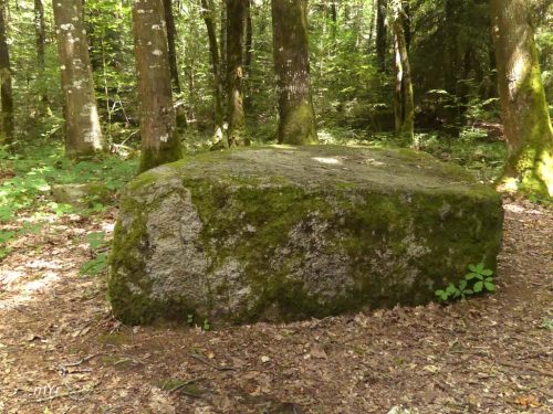 Menhir de la Pierre Droite F2 Saint-Guyomard Vannes Morbihan Bretaña