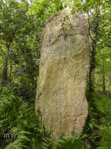 Menhir-du-Bézo-Penhoet-Bignan-Vannes-Morbihan Bretaña
