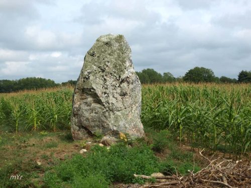 Menhir du Champ Rullél o del Cimetière St laurent Sud Oust Redon Morbihan Bretaña