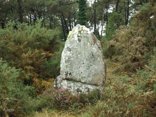 Menhires de Er Roc'h Feutet  Carnac Vannes Morbhian Bretaña