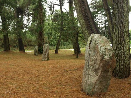 Menhirs de Mané-Kerioned Carnac Vannes Morbihan Bretaña