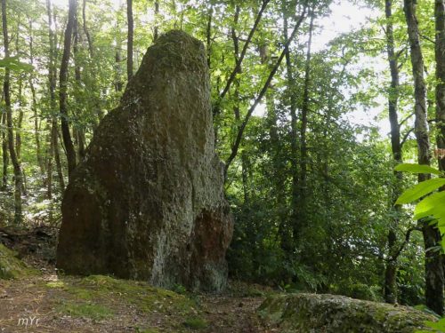 Menhirs  la Roche Piquée Redon Morbihan Bretaña