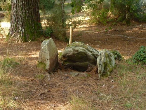 Tombelles de Kernourz Bono Valvulas Morbihan Bretaña