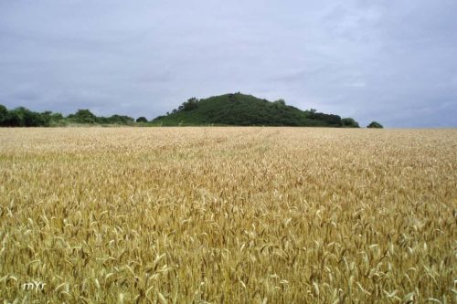 Tumulo de Tumiac F1 Arzon Vannes Morbihan Bretaña