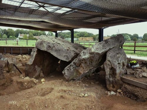 Dolmen de la Grenouille 2 Changé St-Piat Eure et Loir Centro-Val de Loire