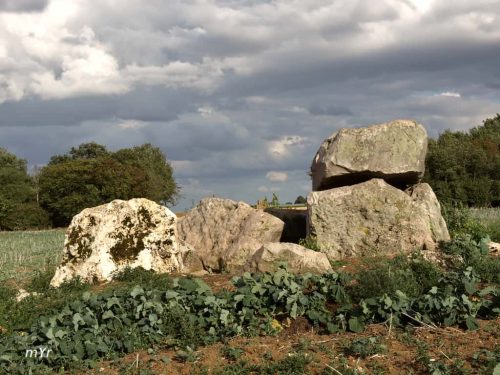 Dolmen de la Pierre Clouée F1 Andonville Pithiviers Loiret Centro-Valle del Loira