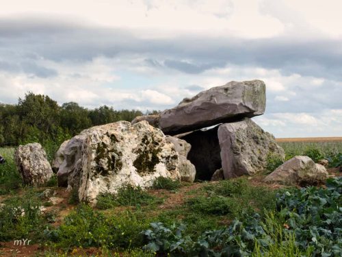 Dolmen de la Pierre Clouée F2 Andonville Pithiviers Loiret Centro-Valle del Loira