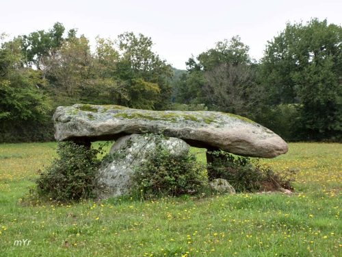 Dolmen la Pierre Là Saint-Plantaire Châtre Indre Centro-Val de Loire