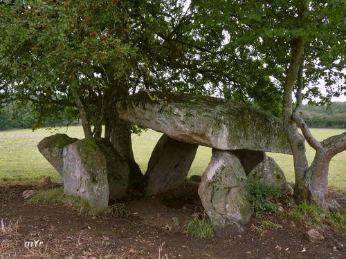 Dolmen  la Pierre à la Marthe Montchevrier Châtre Indre Centro-Val de Loire