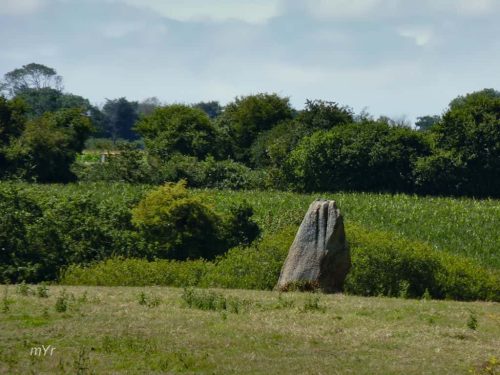 Menhir La Haute Pierre St-Pierre-Eglise Cherbourg Octeville Manche Normandia