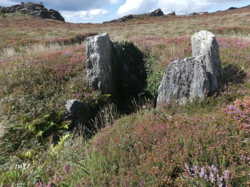 Dolmen-O-Forno-dos-Mouros-Ortigueira Coruña