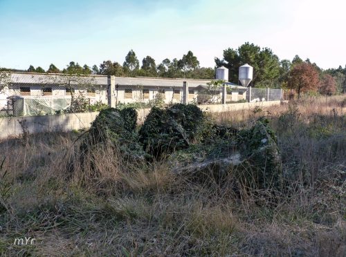 Dolmen Pena do Raposo F2 Toques A Coruña Galicia