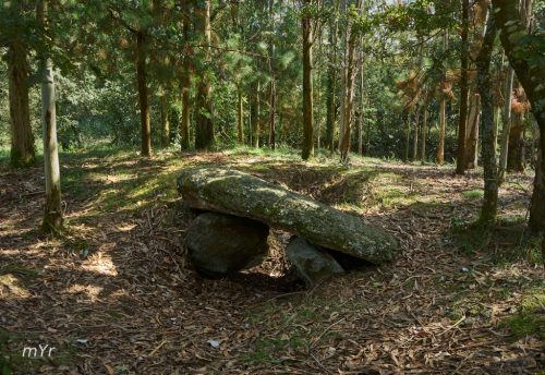 Dolmen de Arca do Rabos Vimianzo A Coruña Galicia